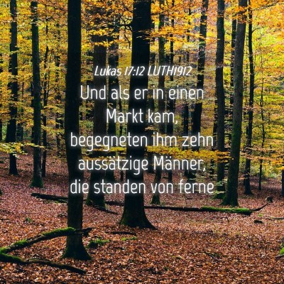 Picture 04 - Lukas 17:12 LUTH1912 - Und als er in einen Markt kam, begegneten ihm - Bible Verse Picture