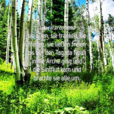 Picture 04 - Lukas 17:27 LUTH1912 - sie aßen, sie tranken, sie freiten, sie ließen - Bible Verse Picture