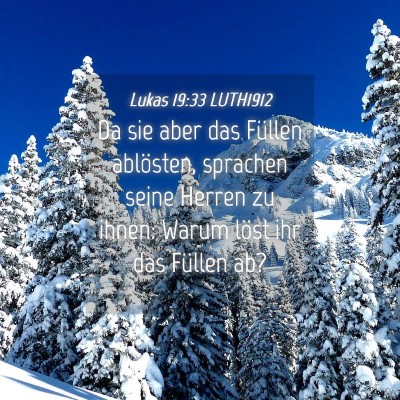 Picture 04 - Lukas 19:33 LUTH1912 - Da sie aber das Füllen ablösten, sprachen seine - Bible Verse Picture