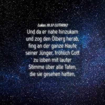 Picture 04 - Lukas 19:37 LUTH1912 - Und da er nahe hinzukam und zog den Ölberg - Bible Verse Picture