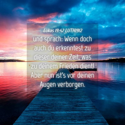 Picture 04 - Lukas 19:42 LUTH1912 - und sprach: Wenn doch auch du erkenntest zu - Bible Verse Picture