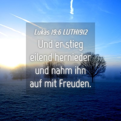Picture 04 - Lukas 19:6 LUTH1912 - Und er stieg eilend hernieder und nahm ihn auf - Bible Verse Picture