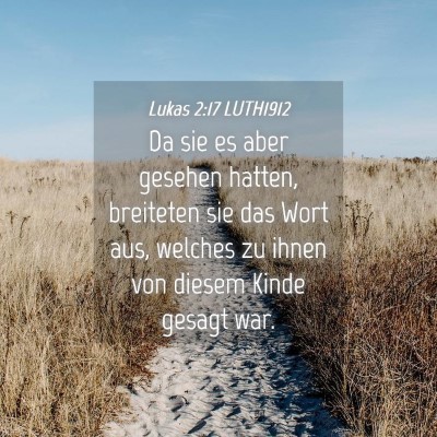 Picture 04 - Lukas 2:17 LUTH1912 - Da sie es aber gesehen hatten, breiteten sie das - Bible Verse Picture
