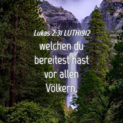 Picture 04 - Lukas 2:31 LUTH1912 - welchen du bereitest hast vor allen - Bible Verse Picture