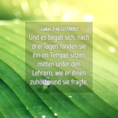 Picture 04 - Lukas 2:46 LUTH1912 - Und es begab sich, nach drei Tagen fanden sie ihn - Bible Verse Picture