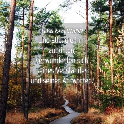 Picture 04 - Lukas 2:47 LUTH1912 - Und alle, die ihm zuhörten, verwunderten sich - Bible Verse Picture