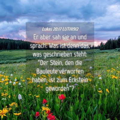 Picture 04 - Lukas 20:17 LUTH1912 - Er aber sah sie an und sprach: Was ist denn das, - Bible Verse Picture