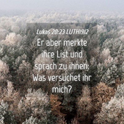 Picture 04 - Lukas 20:23 LUTH1912 - Er aber merkte ihre List und sprach zu ihnen: Was - Bible Verse Picture