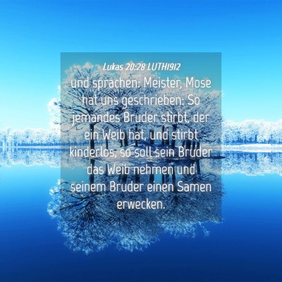 Picture 04 - Lukas 20:28 LUTH1912 - und sprachen: Meister, Mose hat uns geschrieben: - Bible Verse Picture