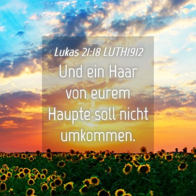 Picture 04 - Lukas 21:18 LUTH1912 - Und ein Haar von eurem Haupte soll nicht - Bible Verse Picture