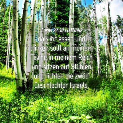 Picture 04 - Lukas 22:30 LUTH1912 - daß ihr essen und trinken sollt an meinem Tische - Bible Verse Picture