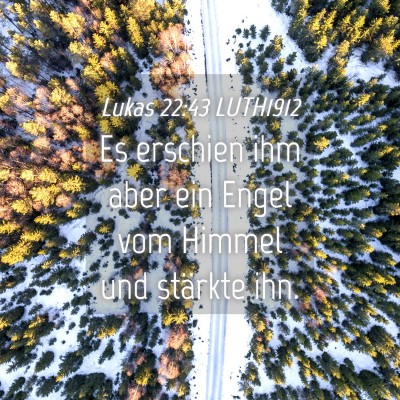 Picture 04 - Lukas 22:43 LUTH1912 - Es erschien ihm aber ein Engel vom Himmel und - Bible Verse Picture