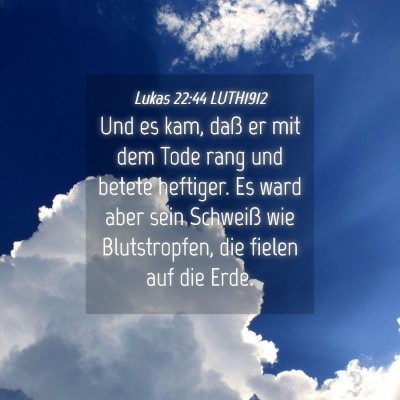 Picture 04 - Lukas 22:44 LUTH1912 - Und es kam, daß er mit dem Tode rang und betete - Bible Verse Picture