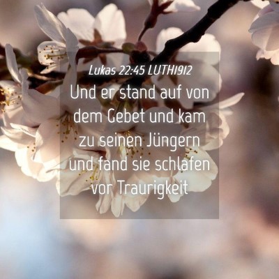 Picture 04 - Lukas 22:45 LUTH1912 - Und er stand auf von dem Gebet und kam zu seinen - Bible Verse Picture