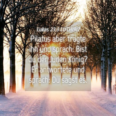 Picture 04 - Lukas 23:3 LUTH1912 - Pilatus aber fragte ihn und sprach: Bist du der - Bible Verse Picture