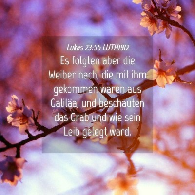 Picture 04 - Lukas 23:55 LUTH1912 - Es folgten aber die Weiber nach, die mit ihm - Bible Verse Picture