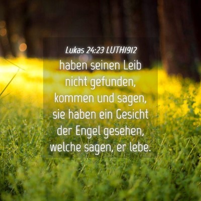 Picture 04 - Lukas 24:23 LUTH1912 - haben seinen Leib nicht gefunden, kommen und - Bible Verse Picture
