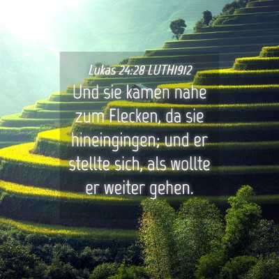 Picture 04 - Lukas 24:28 LUTH1912 - Und sie kamen nahe zum Flecken, da sie - Bible Verse Picture