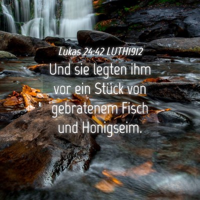 Picture 04 - Lukas 24:42 LUTH1912 - Und sie legten ihm vor ein Stück von gebratenem - Bible Verse Picture