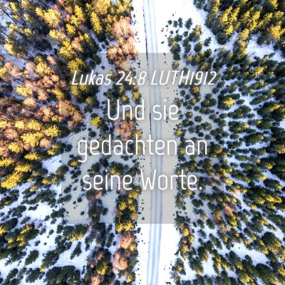 Picture 04 - Lukas 24:8 LUTH1912 - Und sie gedachten an seine - Bible Verse Picture