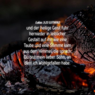Picture 04 - Lukas 3:22 LUTH1912 - und der heilige Geist fuhr hernieder in - Bible Verse Picture