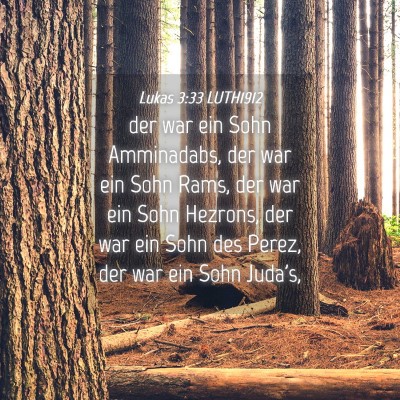 Picture 04 - Lukas 3:33 LUTH1912 - der war ein Sohn Amminadabs, der war ein Sohn - Bible Verse Picture