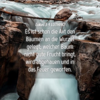 Picture 04 - Lukas 3:9 LUTH1912 - Es ist schon die Axt den Bäumen an die Wurzel - Bible Verse Picture