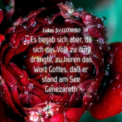Picture 04 - Lukas 5:1 LUTH1912 - Es begab sich aber, da sich das Volk zu ihm - Bible Verse Picture