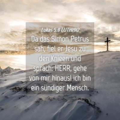 Picture 04 - Lukas 5:8 LUTH1912 - Da das Simon Petrus sah, fiel er Jesu zu den - Bible Verse Picture