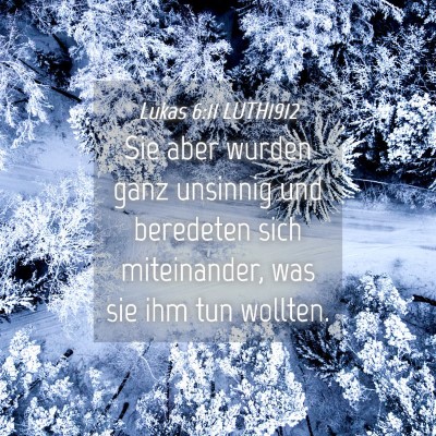 Picture 04 - Lukas 6:11 LUTH1912 - Sie aber wurden ganz unsinnig und beredeten sich - Bible Verse Picture