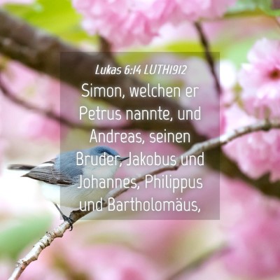 Picture 04 - Lukas 6:14 LUTH1912 - Simon, welchen er Petrus nannte, und Andreas, - Bible Verse Picture