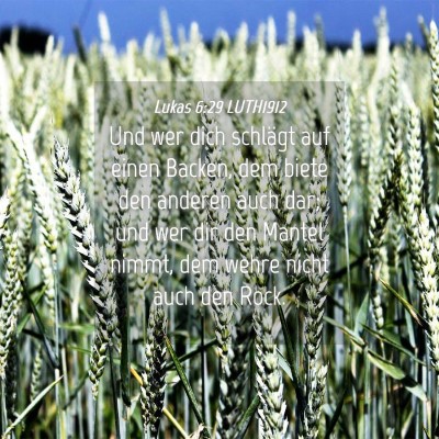 Picture 04 - Lukas 6:29 LUTH1912 - Und wer dich schlägt auf einen Backen, dem biete - Bible Verse Picture