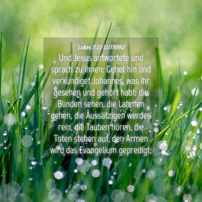 Picture 04 - Lukas 7:22 LUTH1912 - Und Jesus antwortete und sprach zu ihnen: Gehet - Bible Verse Picture