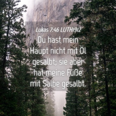 Picture 04 - Lukas 7:46 LUTH1912 - Du hast mein Haupt nicht mit Öl gesalbt; sie - Bible Verse Picture