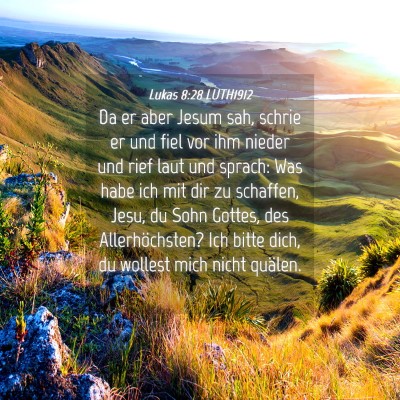 Picture 04 - Lukas 8:28 LUTH1912 - Da er aber Jesum sah, schrie er und fiel vor ihm - Bible Verse Picture