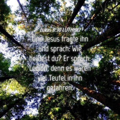 Picture 04 - Lukas 8:30 LUTH1912 - Und Jesus fragte ihn und sprach: Wie heißest du? - Bible Verse Picture