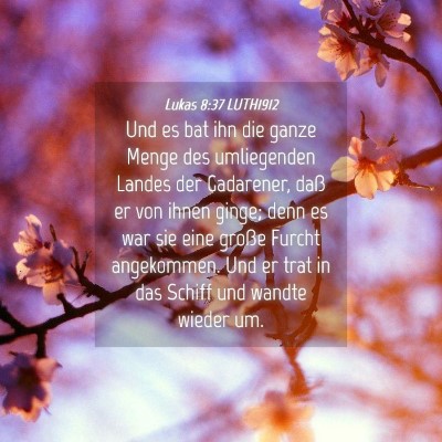 Picture 04 - Lukas 8:37 LUTH1912 - Und es bat ihn die ganze Menge des umliegenden - Bible Verse Picture