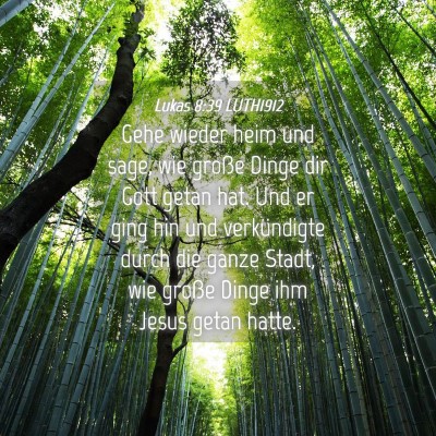 Picture 04 - Lukas 8:39 LUTH1912 - Gehe wieder heim und sage, wie große Dinge dir - Bible Verse Picture