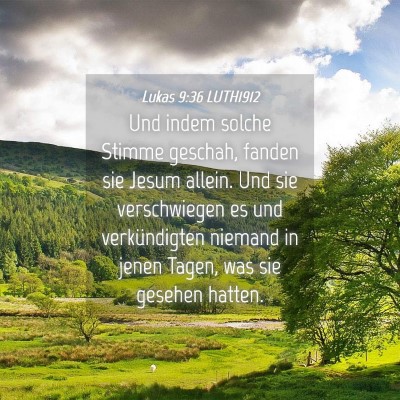 Picture 04 - Lukas 9:36 LUTH1912 - Und indem solche Stimme geschah, fanden sie Jesum - Bible Verse Picture