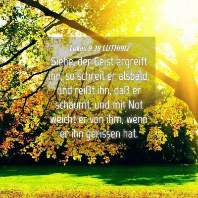 Picture 04 - Lukas 9:39 LUTH1912 - Siehe, der Geist ergreift ihn, so schreit er - Bible Verse Picture