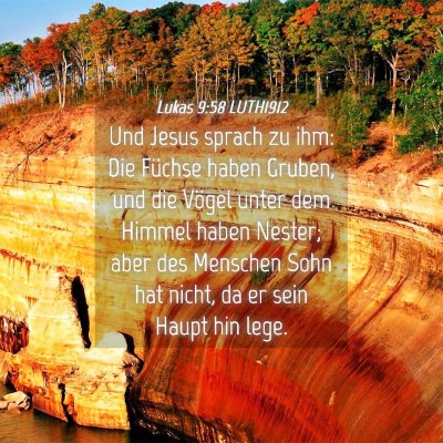 Picture 04 - Lukas 9:58 LUTH1912 - Und Jesus sprach zu ihm: Die Füchse haben - Bible Verse Picture