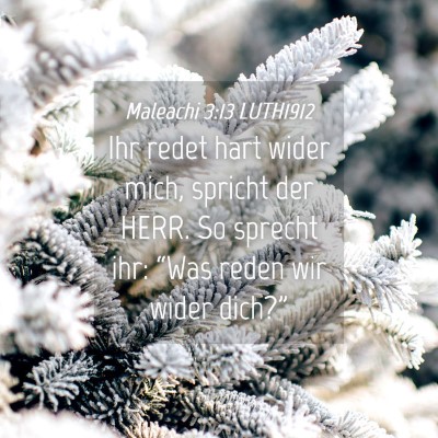 Picture 04 - Maleachi 3:13 LUTH1912 - Ihr redet hart wider mich, spricht der HERR. So - Bible Verse Picture
