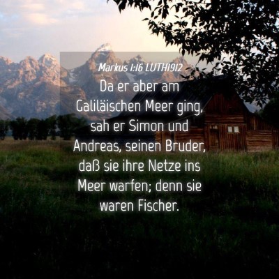 Picture 04 - Markus 1:16 LUTH1912 - Da er aber am Galiläischen Meer ging, sah er - Bible Verse Picture