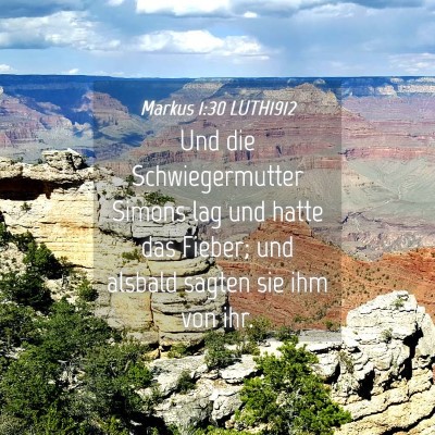 Picture 04 - Markus 1:30 LUTH1912 - Und die Schwiegermutter Simons lag und hatte das - Bible Verse Picture
