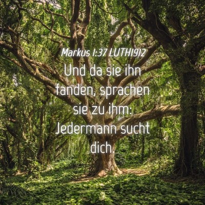 Picture 04 - Markus 1:37 LUTH1912 - Und da sie ihn fanden, sprachen sie zu ihm: - Bible Verse Picture