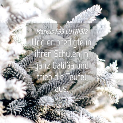 Picture 04 - Markus 1:39 LUTH1912 - Und er predigte in ihren Schulen in ganz Galiläa - Bible Verse Picture