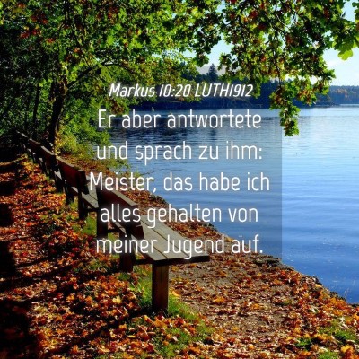 Picture 04 - Markus 10:20 LUTH1912 - Er aber antwortete und sprach zu ihm: Meister, - Bible Verse Picture