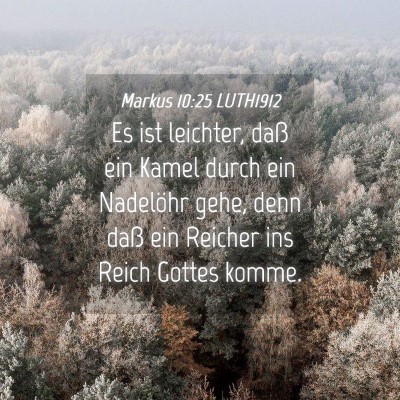 Picture 04 - Markus 10:25 LUTH1912 - Es ist leichter, daß ein Kamel durch ein - Bible Verse Picture