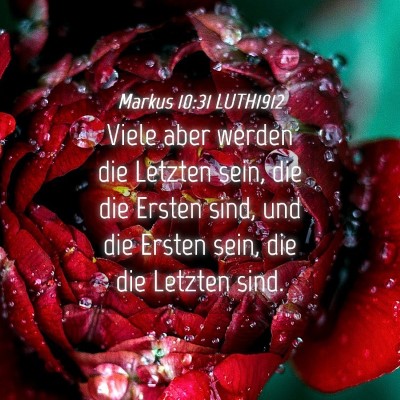 Picture 04 - Markus 10:31 LUTH1912 - Viele aber werden die Letzten sein, die die - Bible Verse Picture