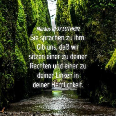 Picture 04 - Markus 10:37 LUTH1912 - Sie sprachen zu ihm: Gib uns, daß wir sitzen - Bible Verse Picture